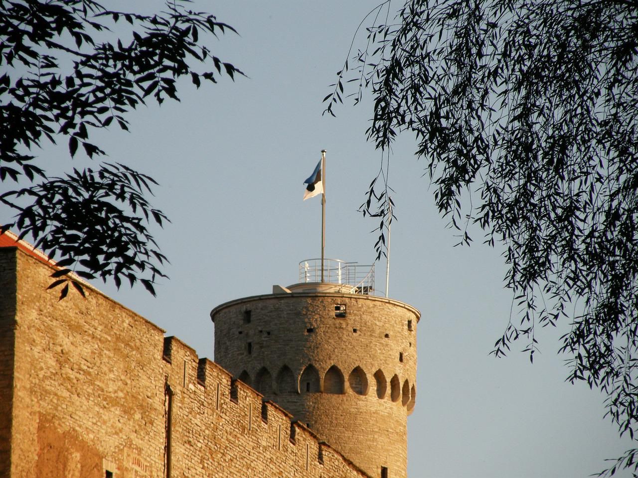 How To Send A Parcel To Russia From Estonia In 2022